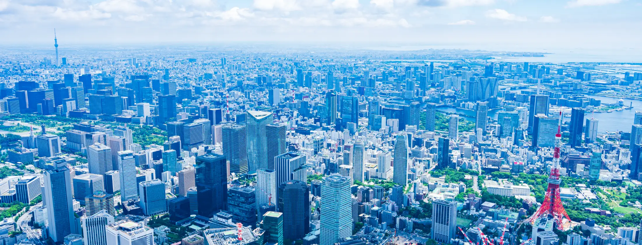 導入実績｜株式会社エスコム